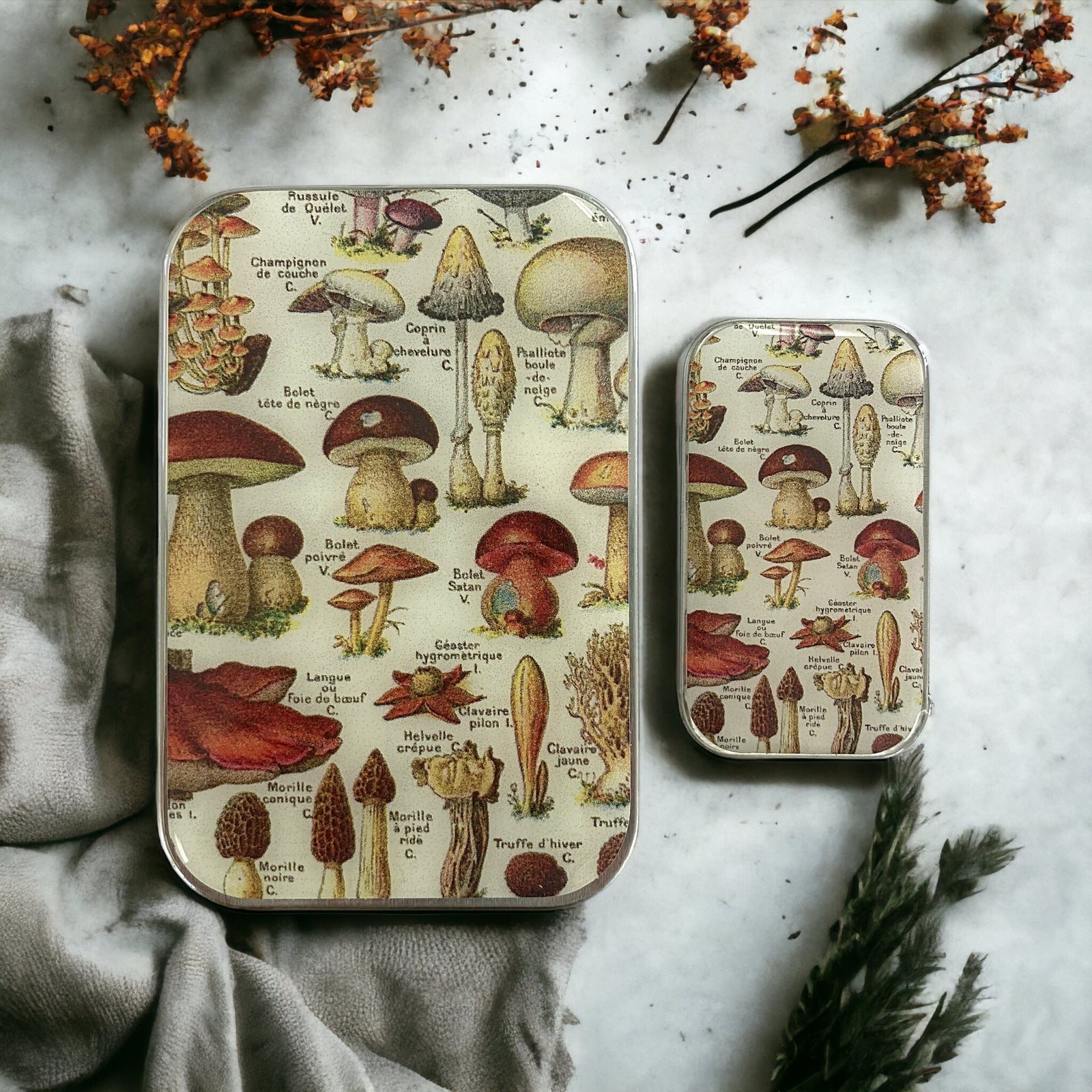 Mushroom storage tin