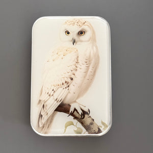 Snowy Owl Notions Tin