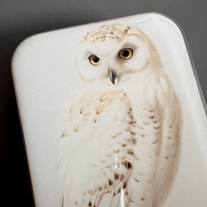 Snowy Owl Notions Tin