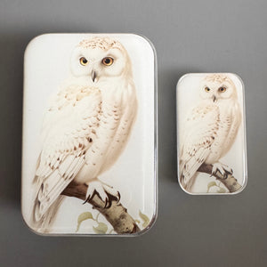 Snowy Owl Notions Tin