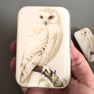 Snowy Owl Notions Tin