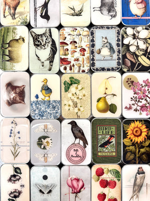 Ready to ship assorted tin pack