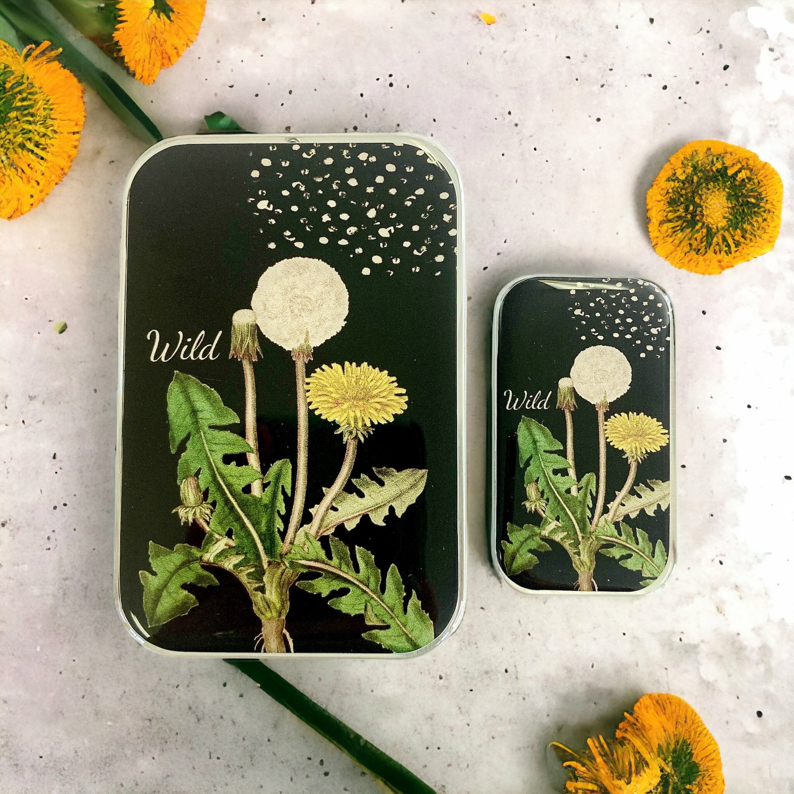 Dandelion notions tin
