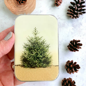 Pine Tree notions tin