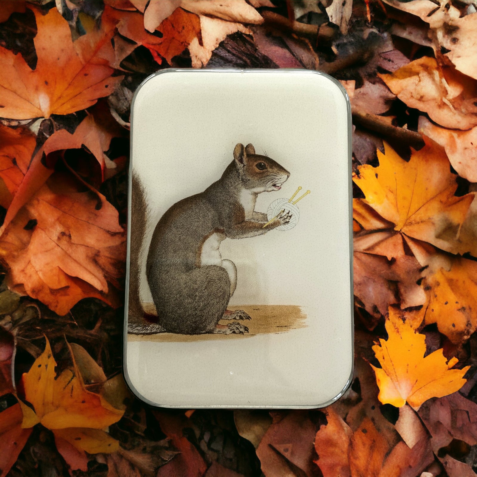 Yarn squirrel stitch marker tin
