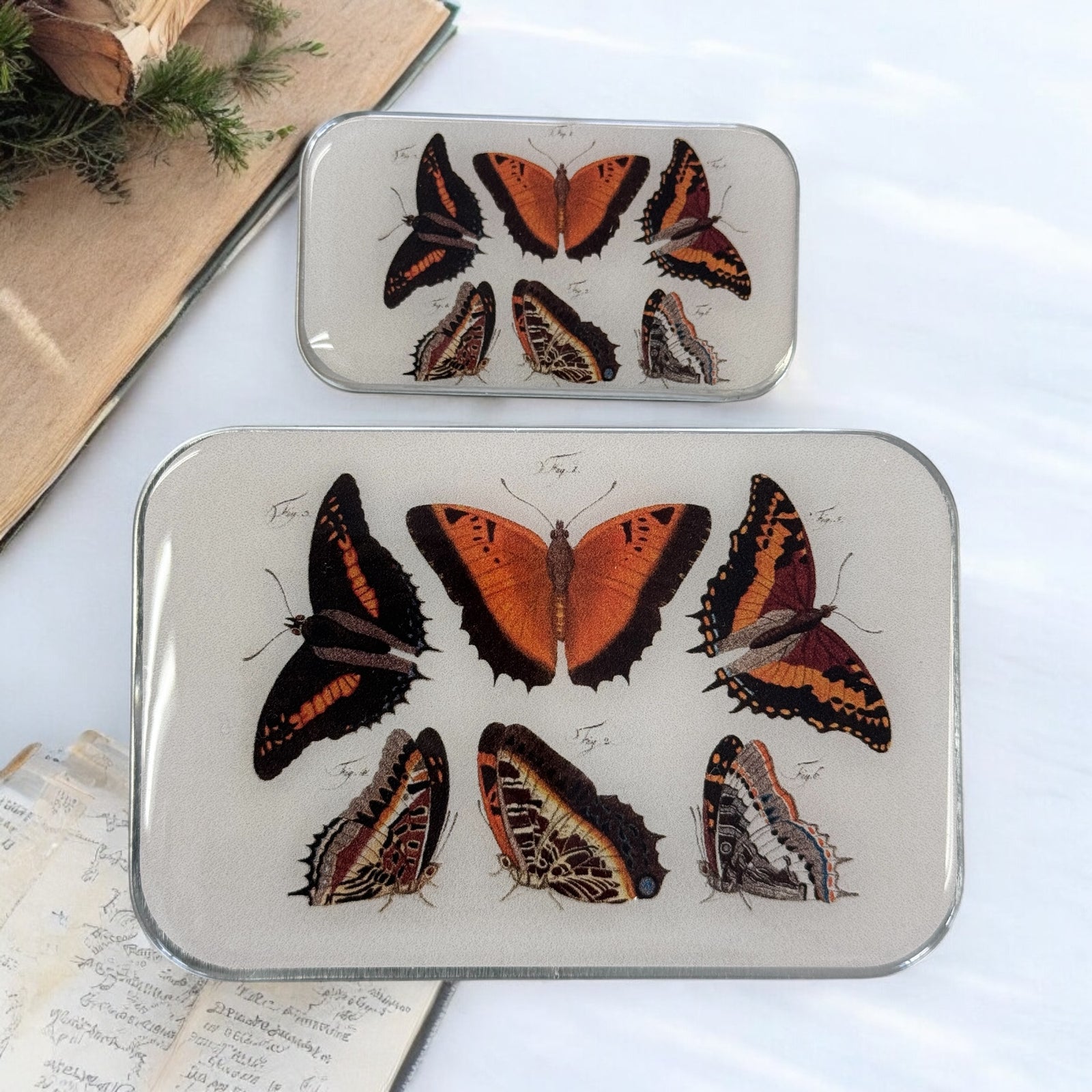 Orange Butterflies Notions Tin