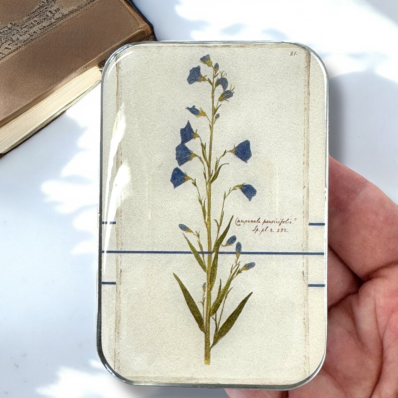 Bellflower Notions Tin