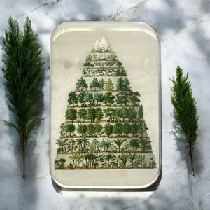 🌿 Nature Meets Nostalgia – Large Tin🌿