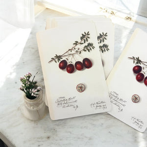Vintage Botanical Project Goal Cards
