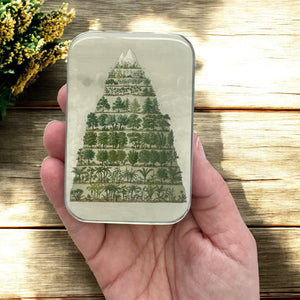 🌿 Nature Meets Nostalgia – Large Tin🌿