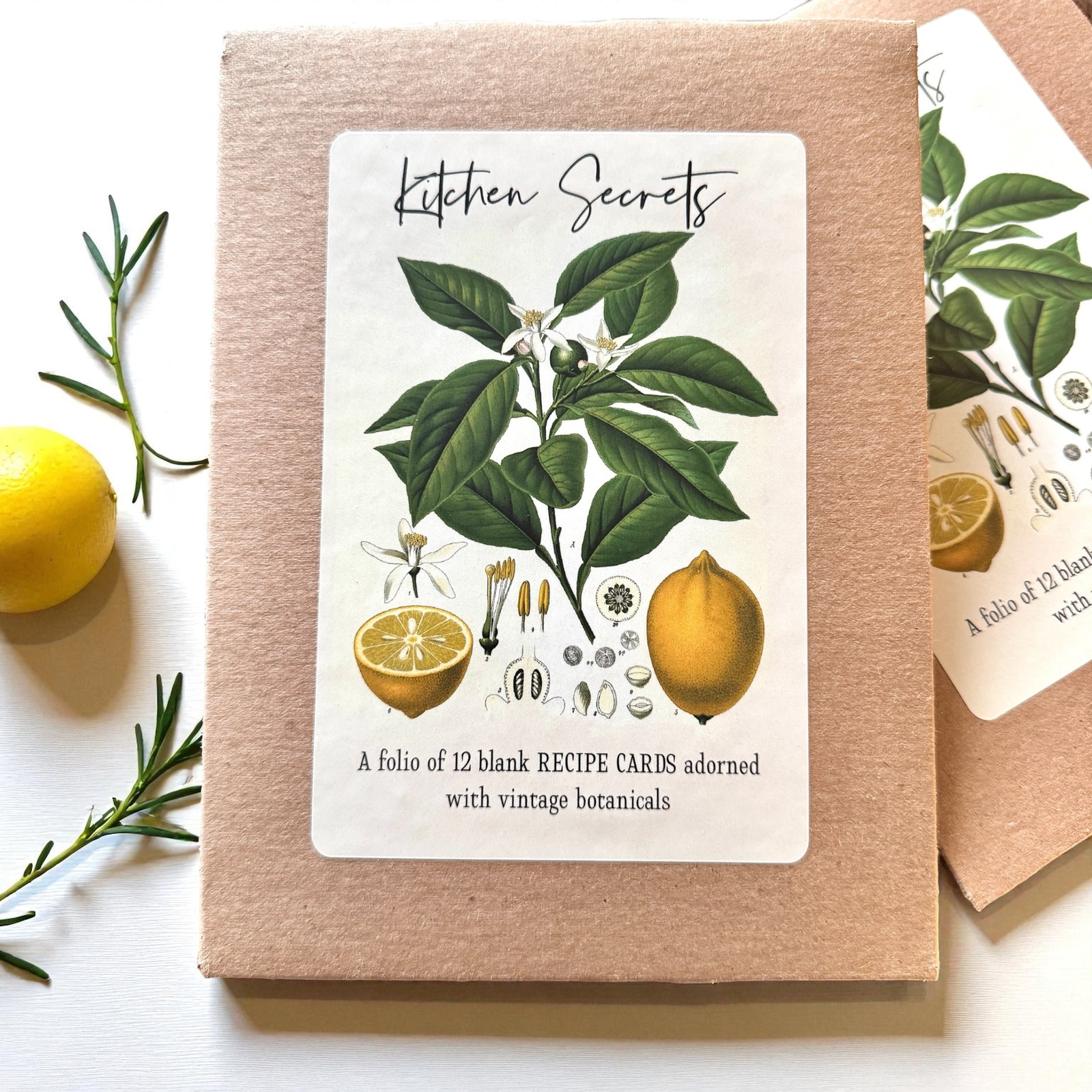 Botanical Recipe Card Set — 12 Blank Cards + Banana Bread Recipe