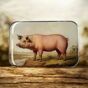 Vintage Pig Notions Tin