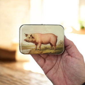Vintage Pig Notions Tin