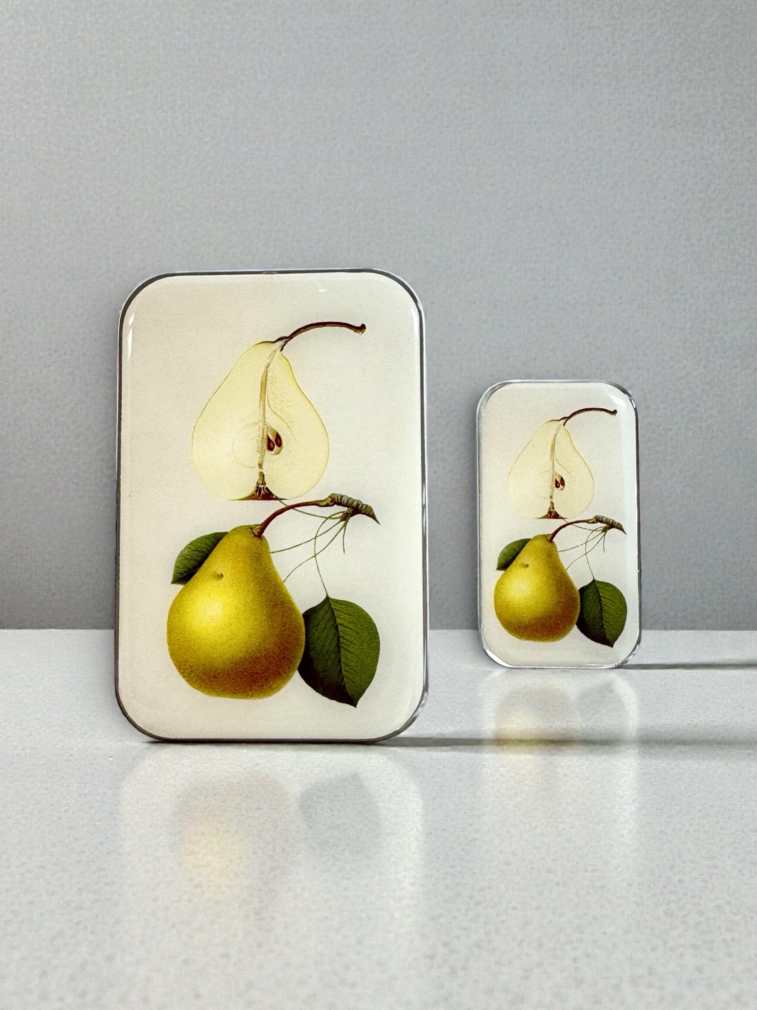 Botanical Pear notions tin