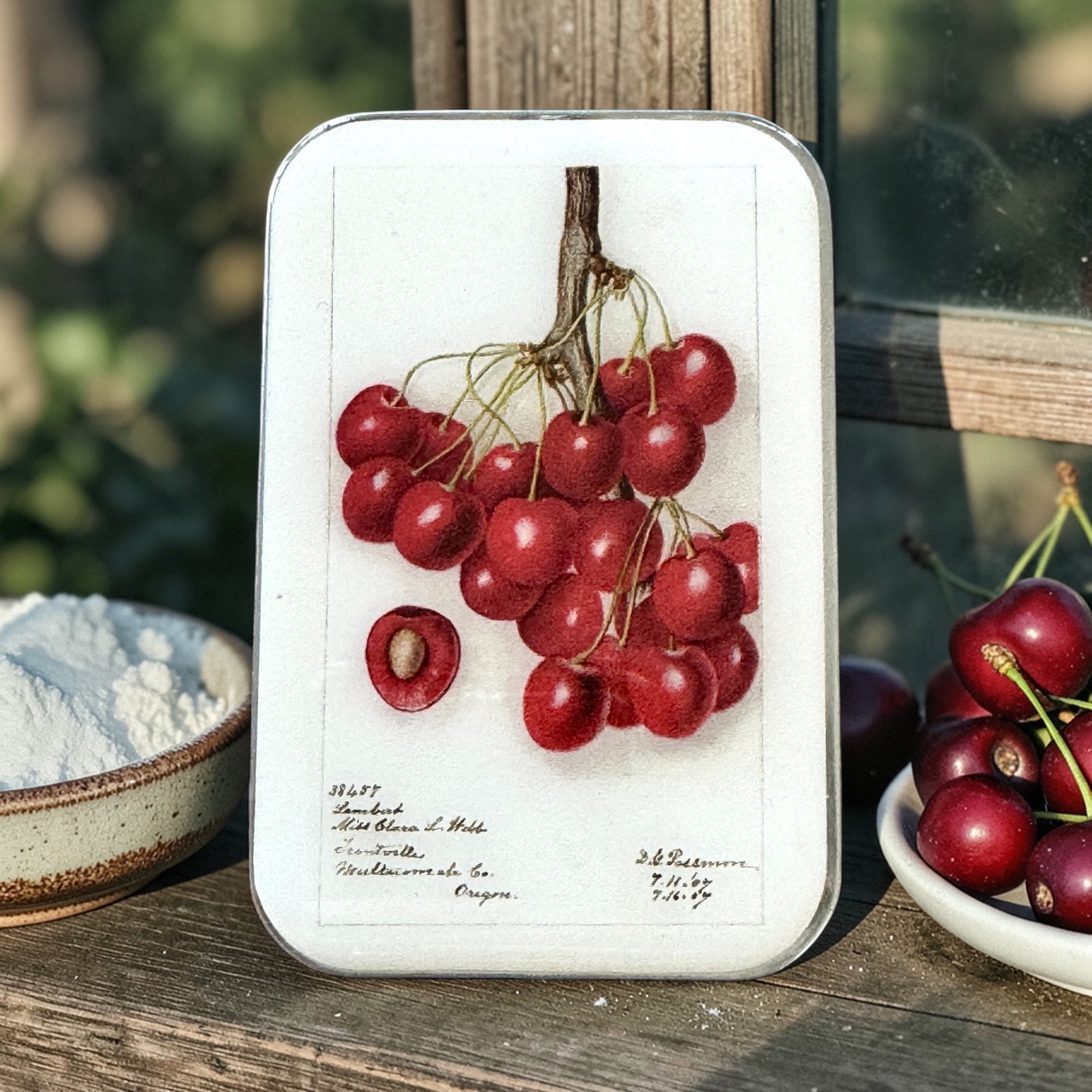 Botanical Cherry Notion Tin