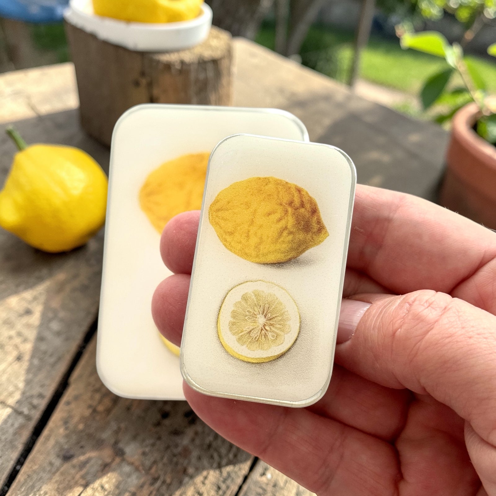 Botanical Lemon Notion Tin