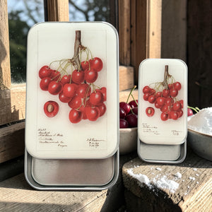 Botanical Cherry Notion Tin