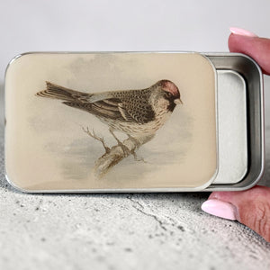 Redpoll Bird Notion Tin