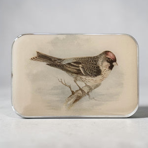 Redpoll Bird Notion Tin