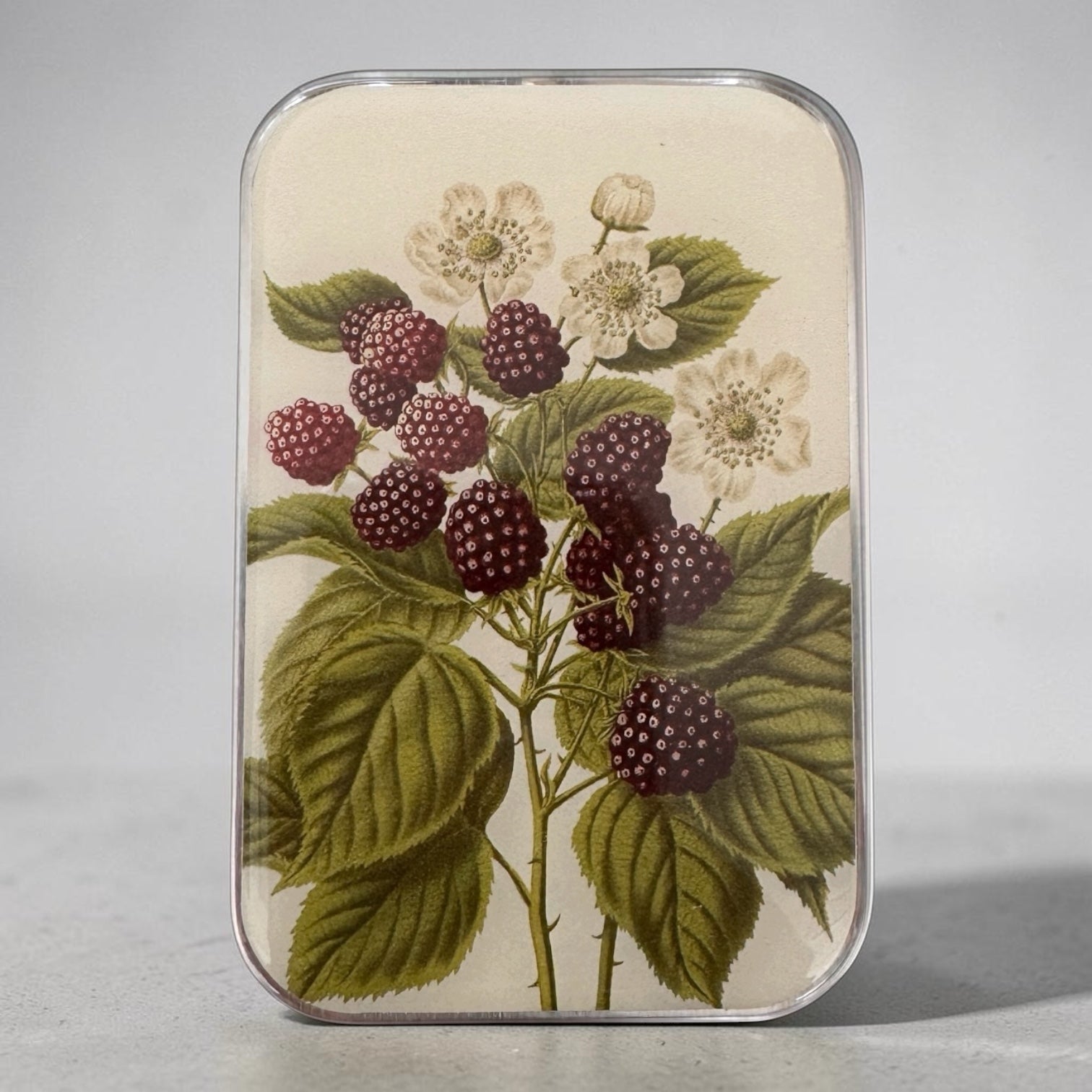 Wild Blackberry Botanical Notions Tin