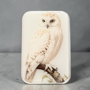 Snowy Owl Notions Tin