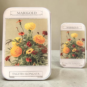 Marigold Notions Tin