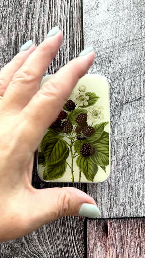 Wild Blackberry Botanical Notions Tin
