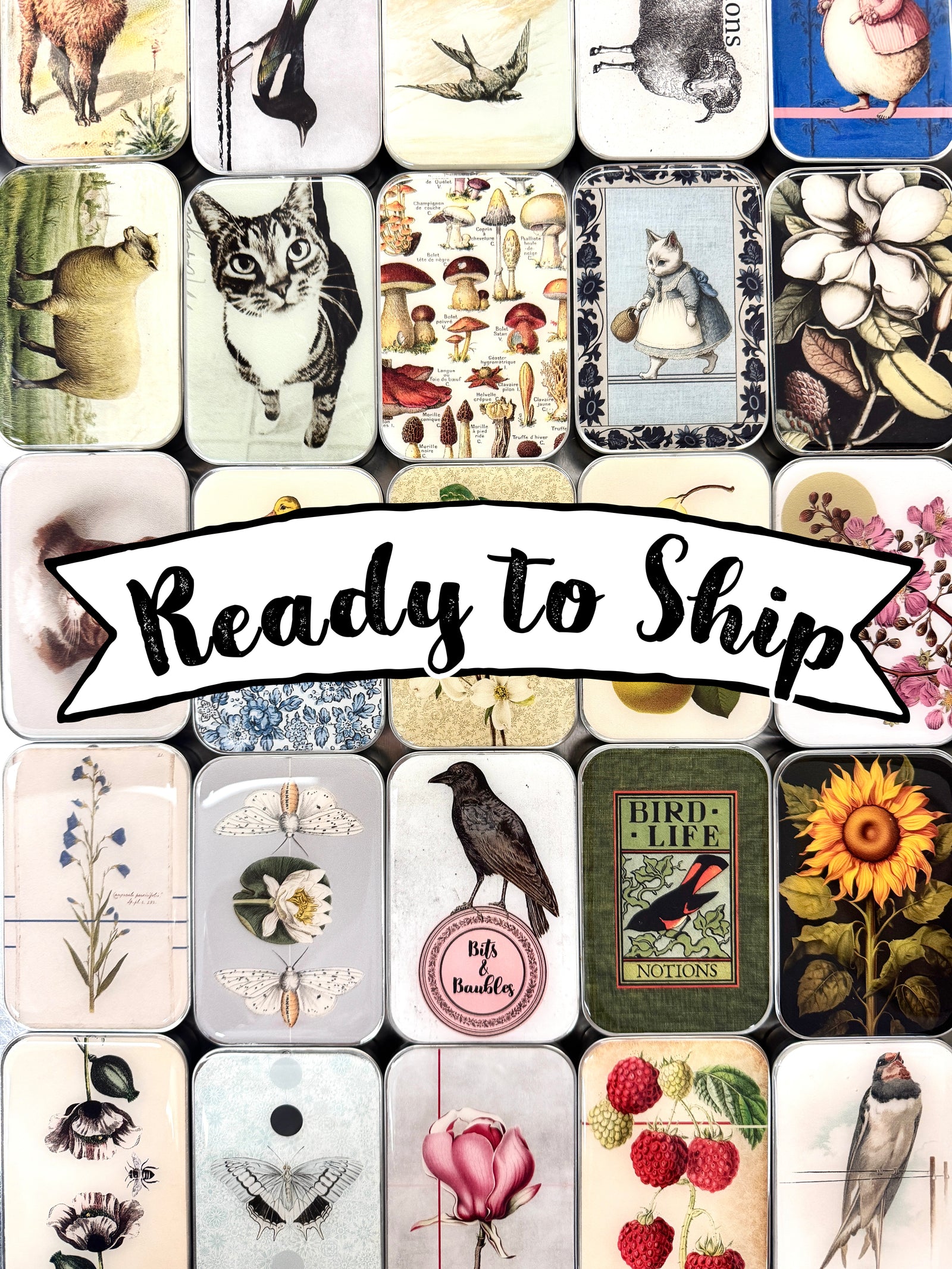 Ready to ship assorted tin pack