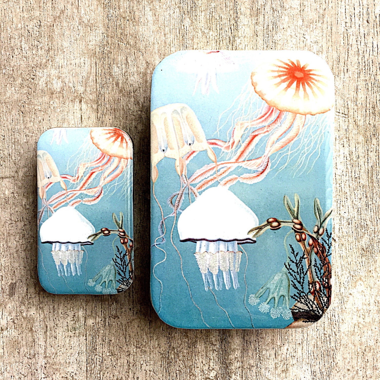 Jelly fish storage tin