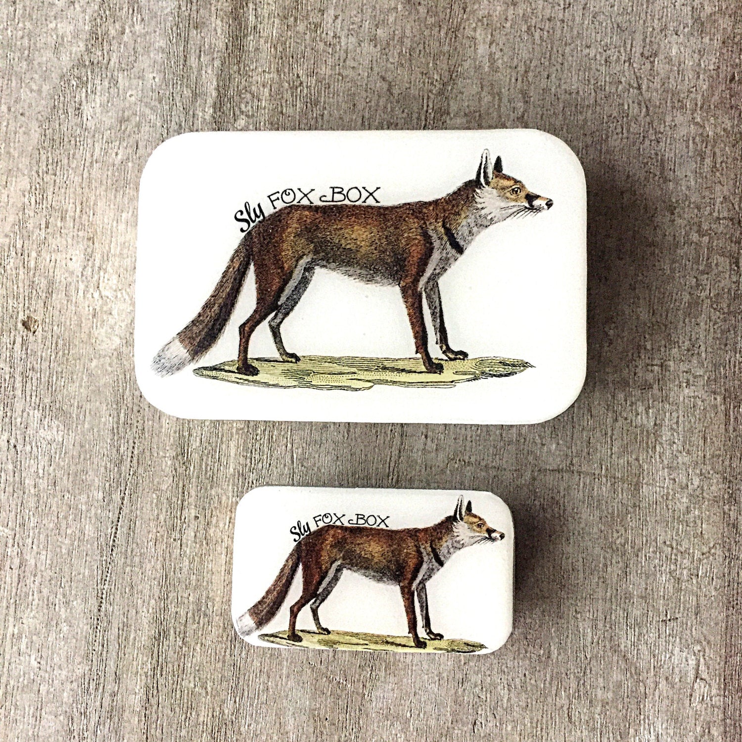 Sly fox tin