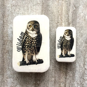 Wise owl tin