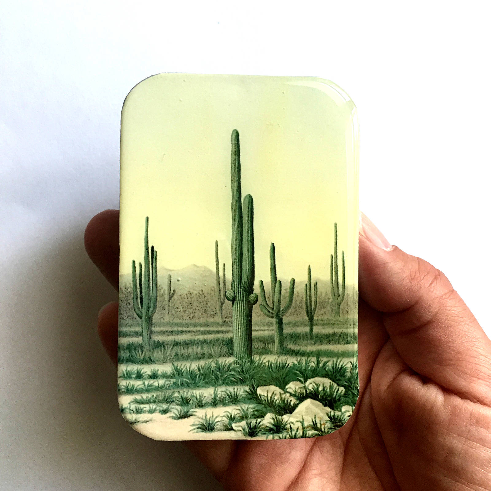 Desert cactus tin