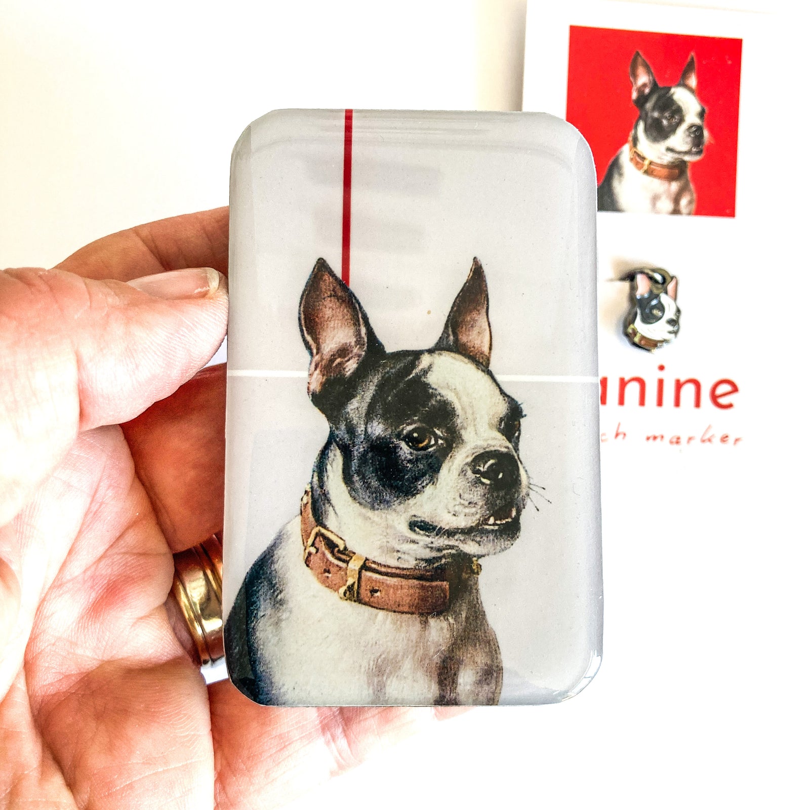 Boston Terrier notions tin