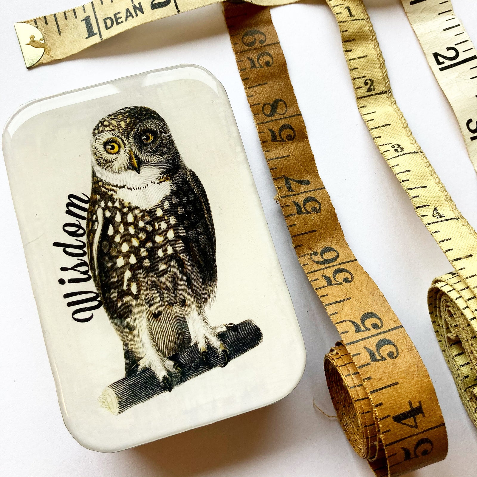 Wise owl tin